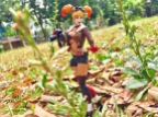 dc-collectibles-designer-series-ant-lucia-dc-bombshells--harley-quinn_33661090085_o